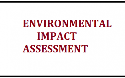 Environmental impact assessment