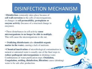 disinfection mechanism