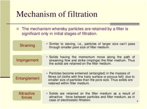 mechanism of filtration